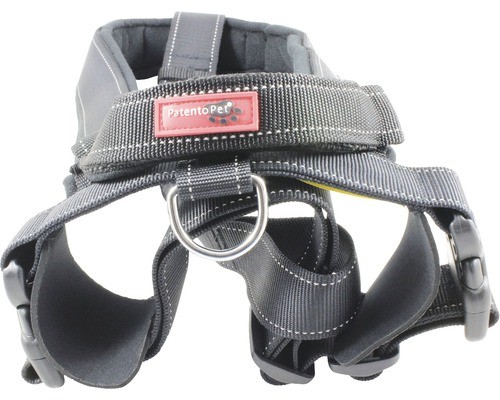Geschirr sport mit - sport,